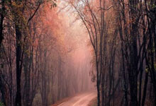 PG Soft Gaming-天河之焰！广州恒大5-1狂胜延续29场不败神话，南粤战鼓震彻云霄