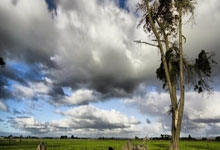 PG Soft Gaming-蒙特雷阵容深度显著，替补席也能决定比赛走向