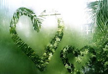 PG电子试玩-澳大利亚游泳冠军再夺金，续写辉煌篇章