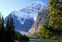 PG电子官网入口-大连渐出黑马之路，亚冠比赛让人期待