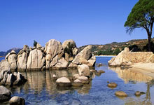 PG中国官网-沙漠风暴！卡塔尔篮球新势力剑指亚洲之巅