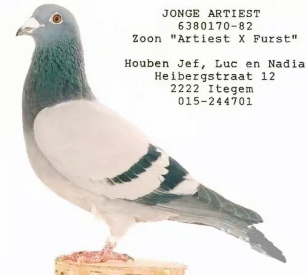 PG电子试玩-史诗巨作：欧国联比赛冠军成就传奇的简单介绍