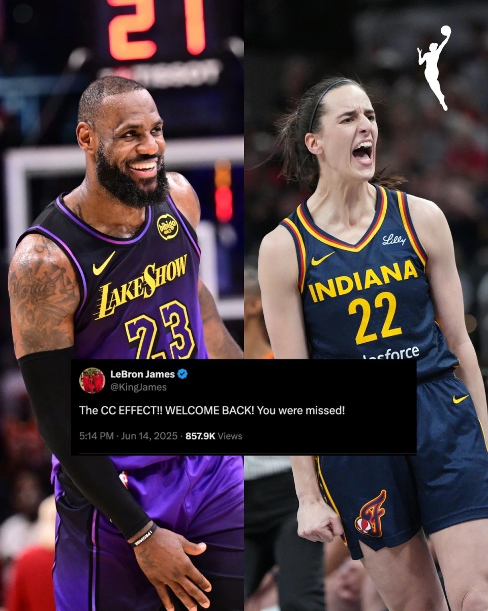 众多篮球迷为职业赛事狂热打call 众多篮球迷为职业赛事狂热打call