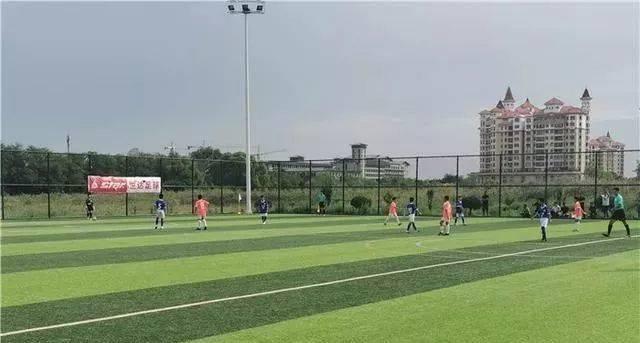 包含体育界传喜讯：足球锦标赛即将打响，各队备战精细的词条