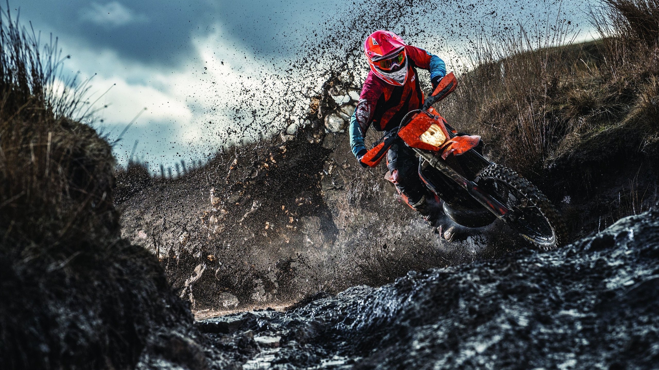 汉密尔顿单骑救主！雷诺绝境逆袭，红牛王朝在蒙扎坍塌