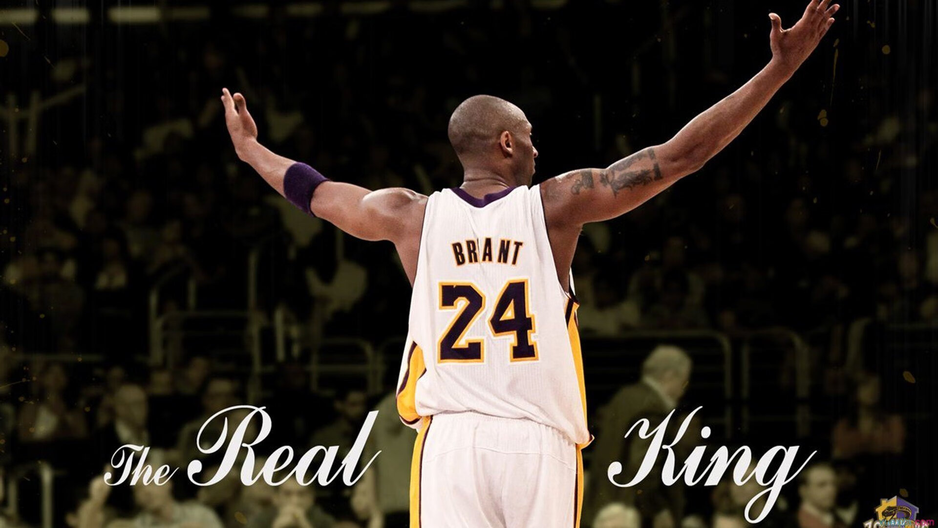 统治级表现，拉塞尔助法拉利击败索伯车队